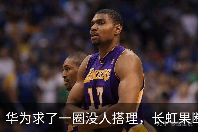华为求了一圈没人搭理，长虹果断接盘